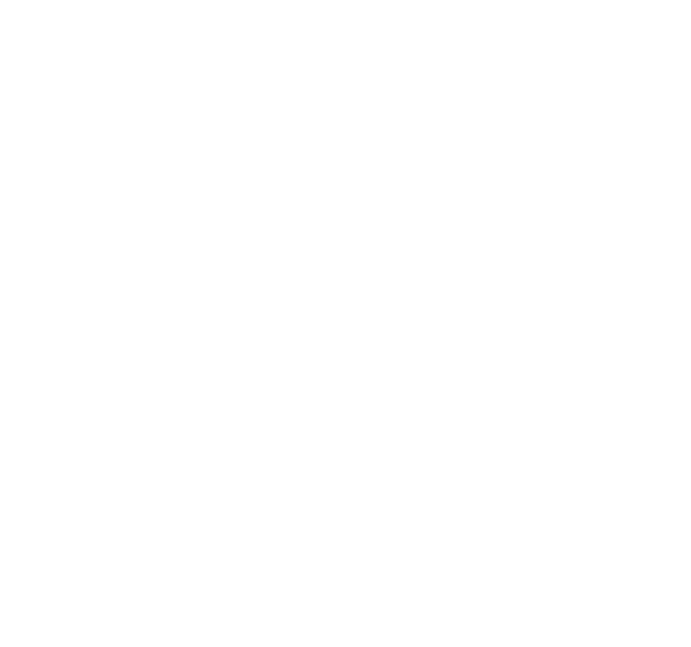 Norrøn Gruppen